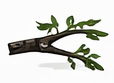 Tree branch removal near roof lines to prevent damage and improve safety for homes in Ohio